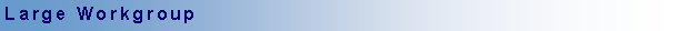 Text Box: Large Workgroup 