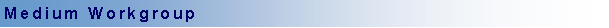 Text Box: Medium Workgroup